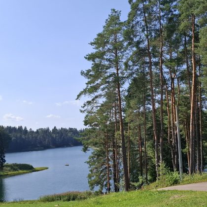 Kokios taisyklės galioja lankantis miške?