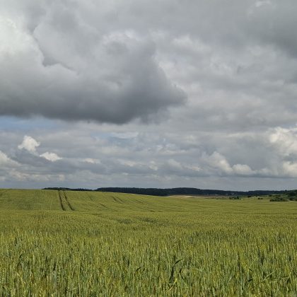 Kokie orai laukia paskutinį liepos savaitgalį?