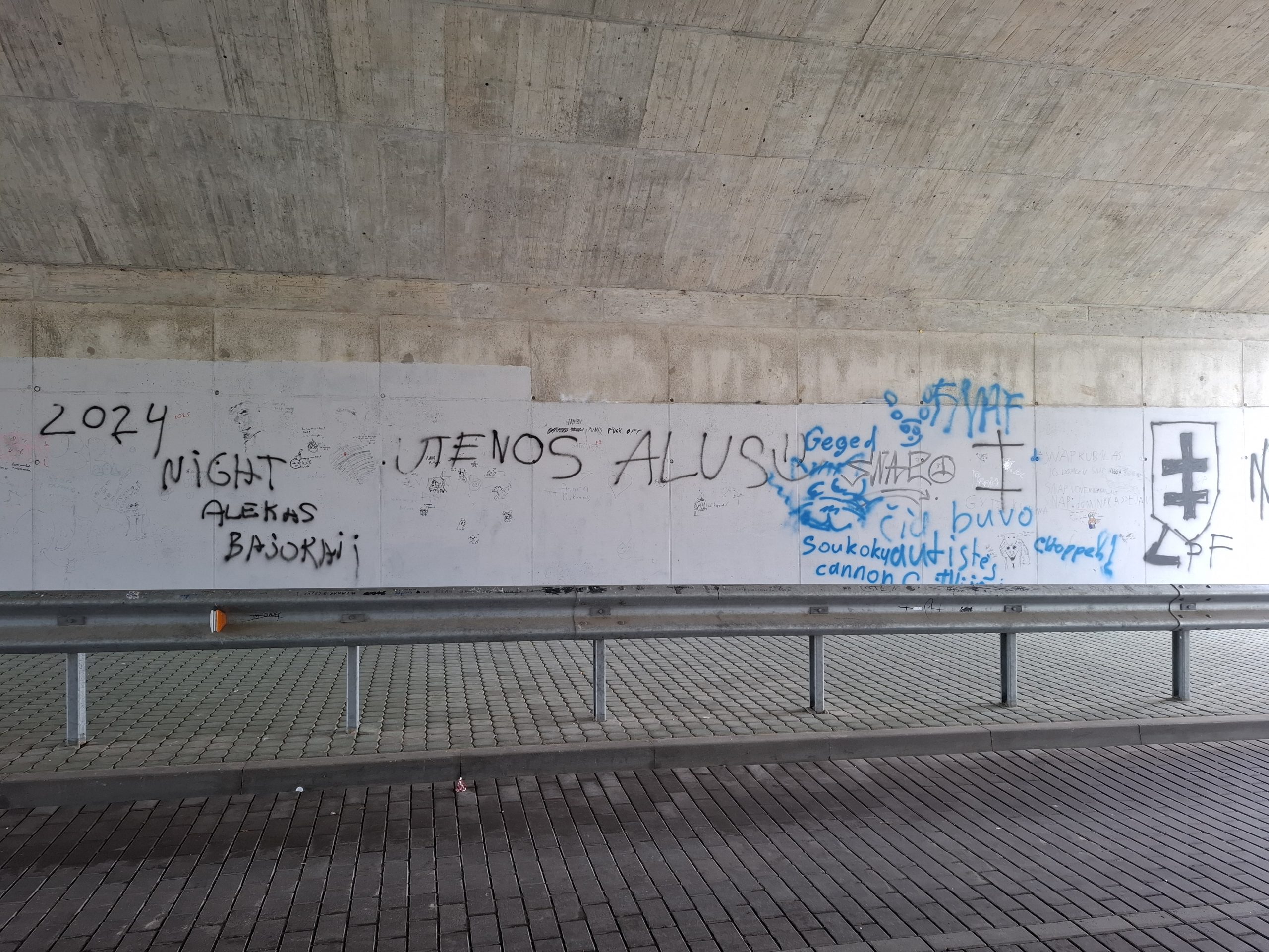 Žaliosios gatvės tilto tunelyje išpieštos sienos
