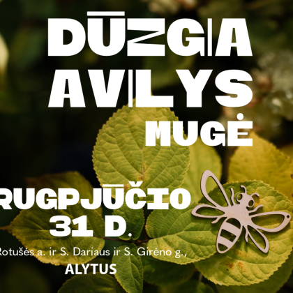 Paskutinę vasaros dieną avilys dūgs Alytuje!