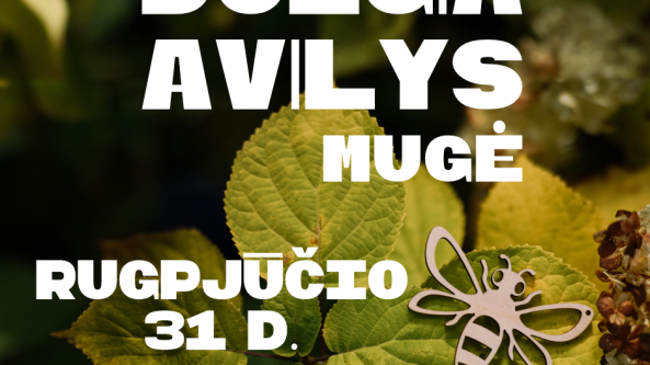 Paskutinę vasaros dieną avilys dūgs Alytuje!