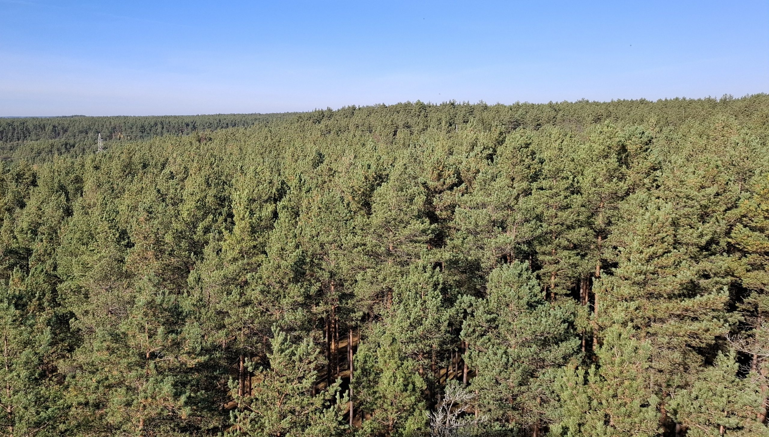 Leiskitės į žygį „Veisiejų regioninio parko gamtos glėbyje“