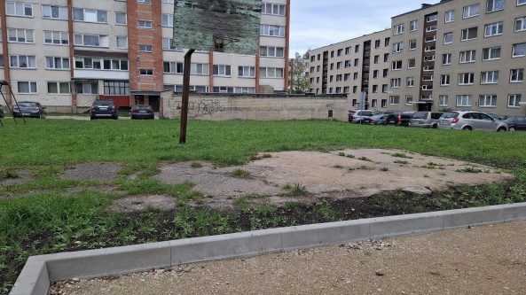 Parkavimo ir žaliosios zonos Alytuje: priešai ar draugai  