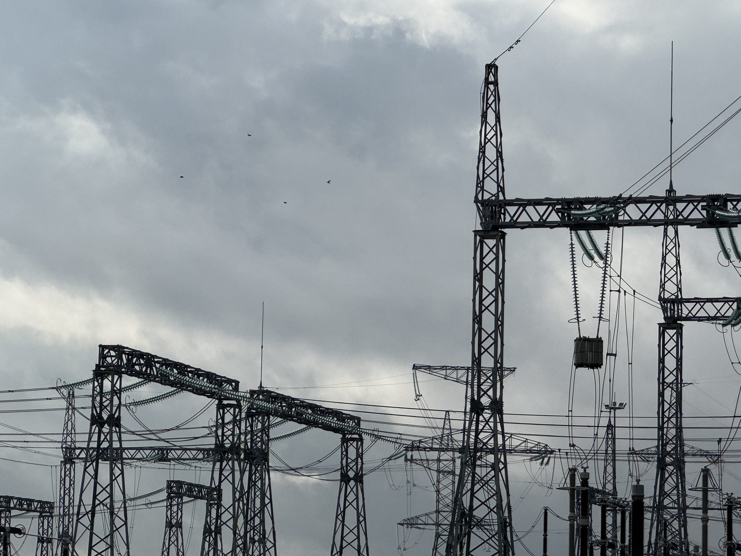 Pirmasis komercinis elektros kaupiklis – Alytaus rajone