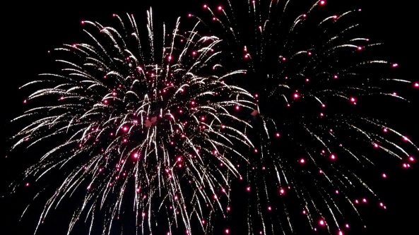 Dzūkiška dvasia Alytaus šventėse