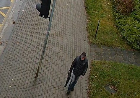 Policija prašo gyventojų pagalbos dėl išpjautos pušies Alytuje