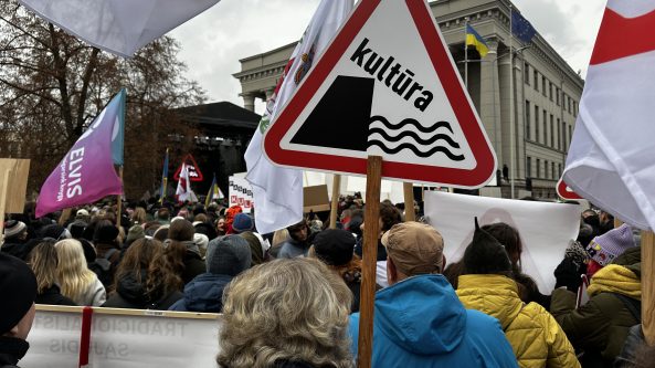 Dzūkijos balsas Vilniuje – kultūros mitinge skambėjo ir Alytaus atstovų žodžiai