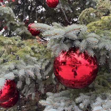 Alytus myli Kalėdas! Miesto eglutė sužibs gruodžio 6-ąją! Alytus myli Kalėdas! Miesto eglutė sužibs gruodžio 6-ąją!