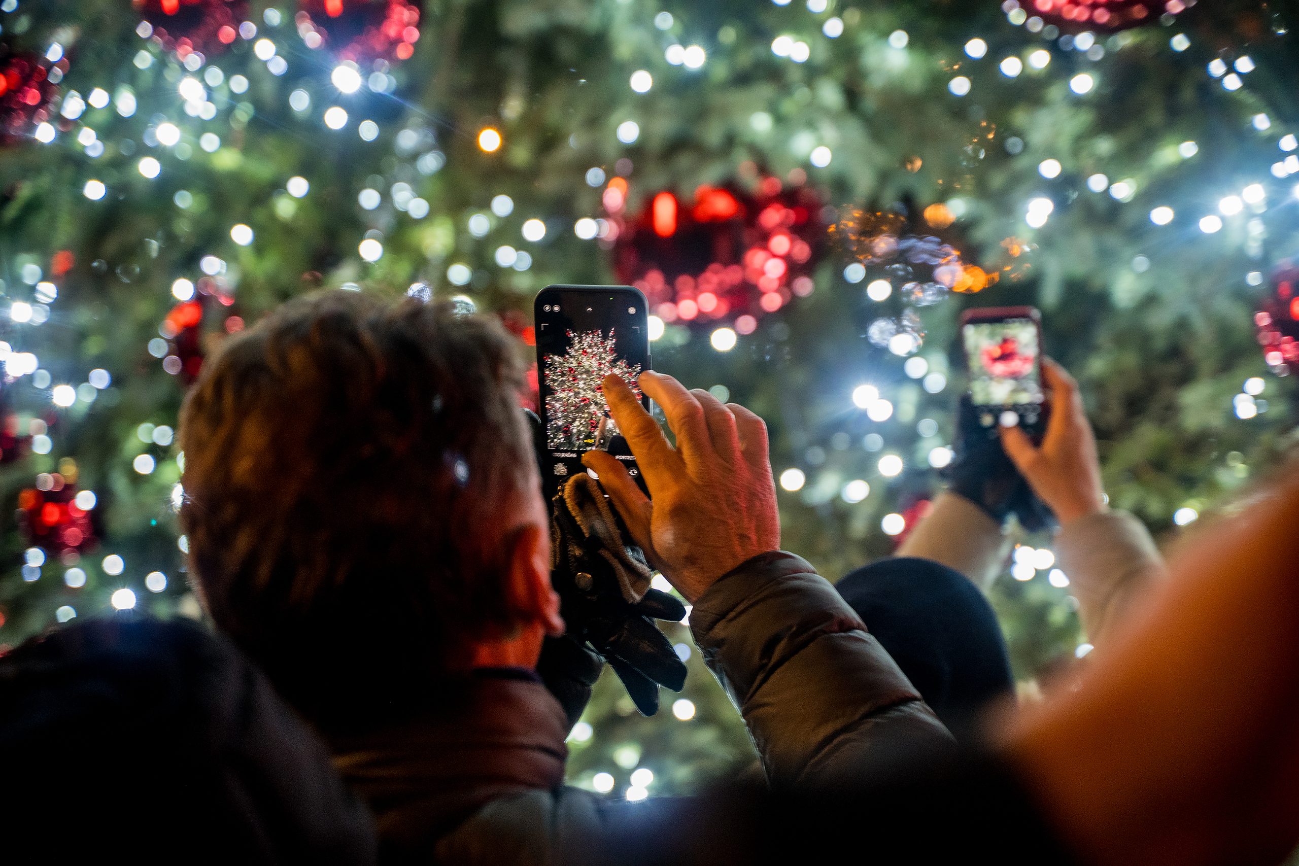 Alytus kviečia tvariai atsisveikinti su Kalėdomis: šeimų šventė „Lik sveika, eglute“