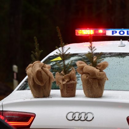 Miškininkai ir policijos pareigūnai vairuotojams dovanoja kalėdinius medelius 