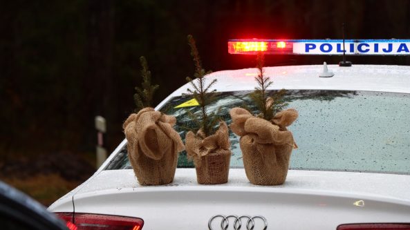 Miškininkai ir policijos pareigūnai vairuotojams dovanoja kalėdinius medelius 