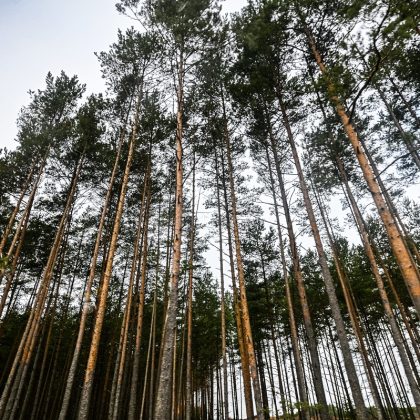 Ar poligonai ir gamtosauga yra suderinami?