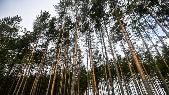 Ar poligonai ir gamtosauga yra suderinami?