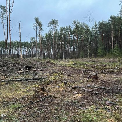 Pristatomas interaktyvus kirtimų žemėlapis