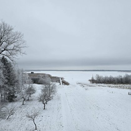 Kokia žiema laukinėje gamtoje?