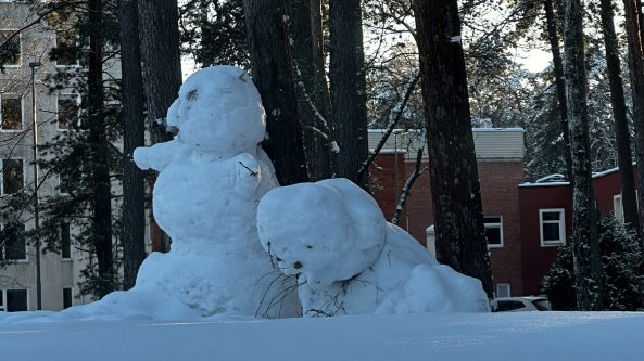 Kiek daugiausiai šalčio yra buvę Alytuje, surado meteorologas
