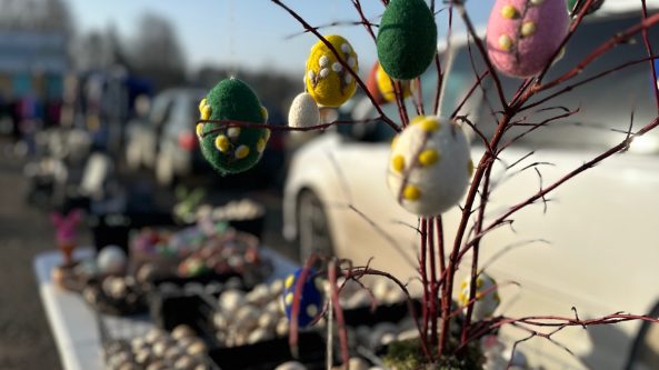 Renginiai Alytuje (03.16-03.22): Kas? Kur? Kada?